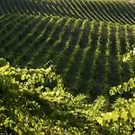 Castello Di Querceto Farm stay *