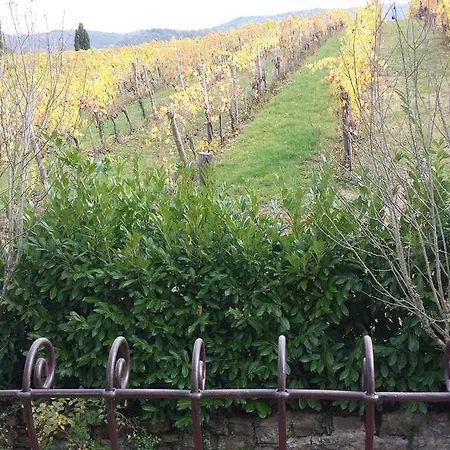 Castello Di Querceto Séjour à la ferme *