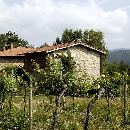 Castello Di Querceto Feriegård *