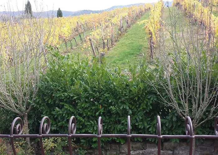 Castello Di Querceto Feriegård *