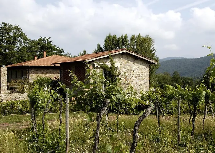 Castello Di Querceto Feriegård *